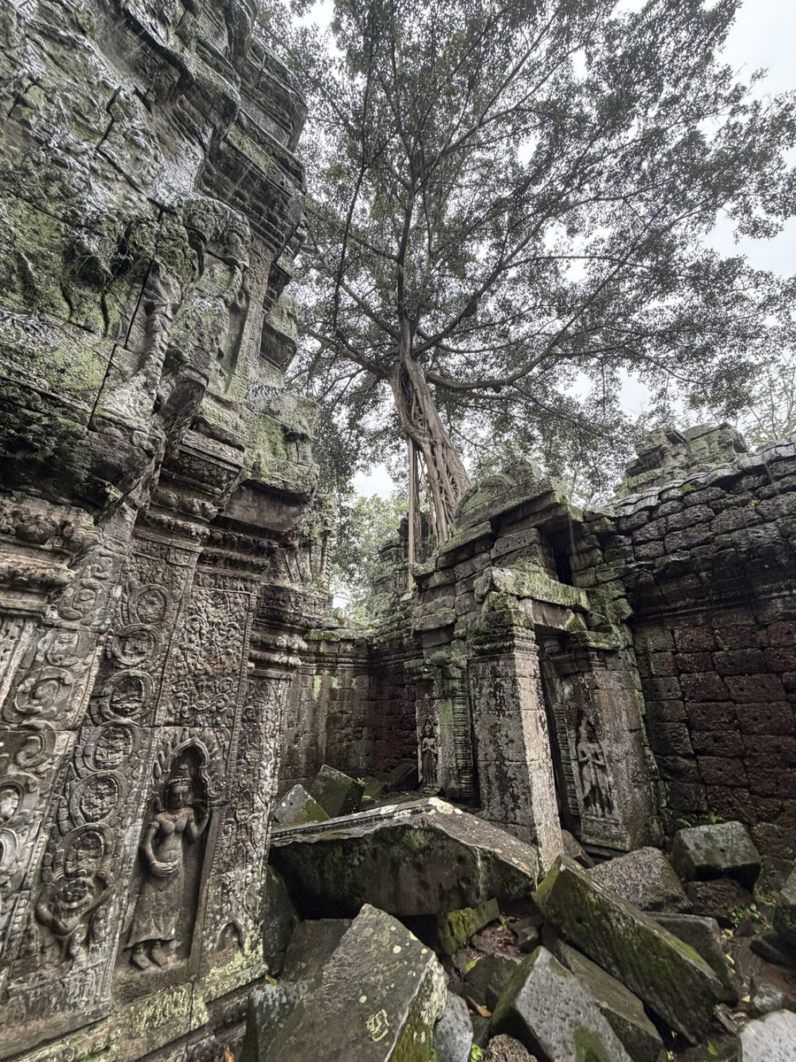 hanso0852's tweet photo. カンボジア🇰🇭 https://t.co/RnIQ7iLEpr
