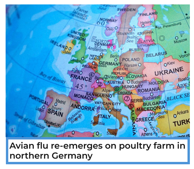 bennel62's tweet photo. #Europe #birdflu update from WATT Poultry https://t.co/OQI2oy8P0R https://t.co/WrpWc0SYAA