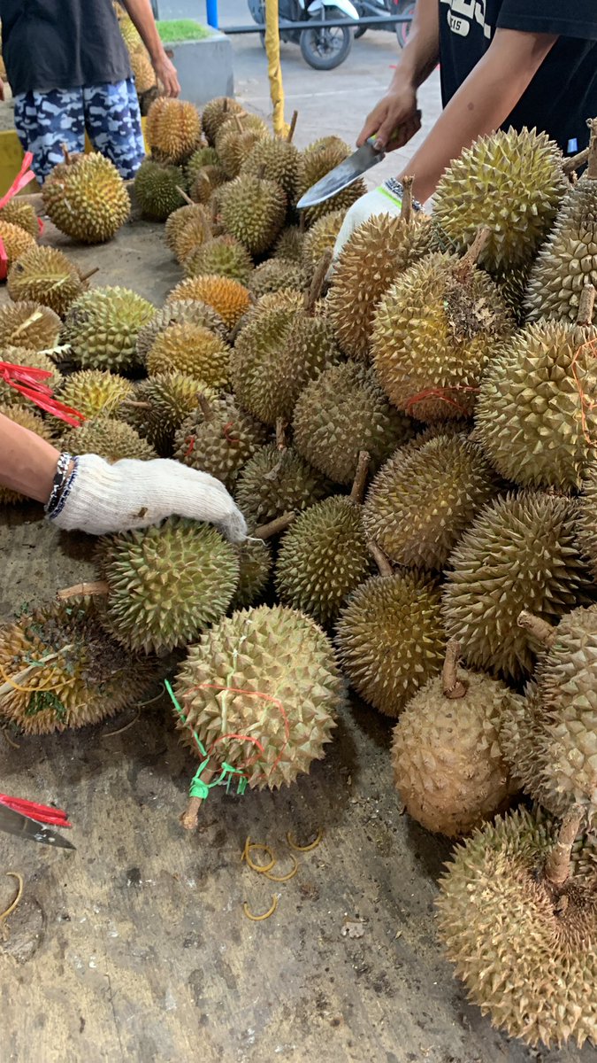 belajarjadibapa's tweet photo. kok ada yaa orang yg ga suka duren, kalian suka duren kaan? https://t.co/qxFAC6mCZV