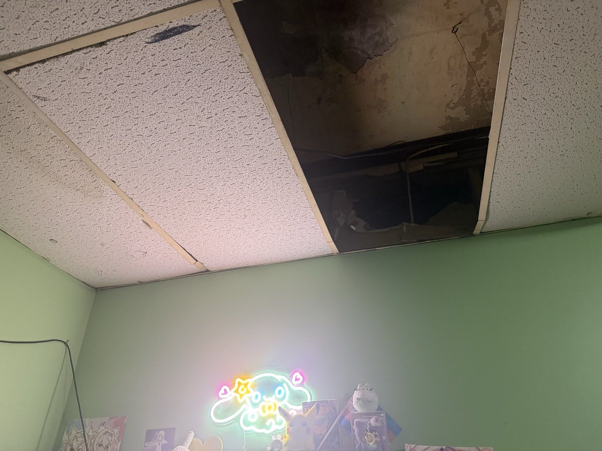 kittycastle__'s tweet photo. here is some rancid apartment pictures. 
random wire collection left behind
the water boiler pipe setup
ceiling tile where dead rats come from
exposed outlet, 1 of 3. many outlets spark https://t.co/2jGMOme7MU