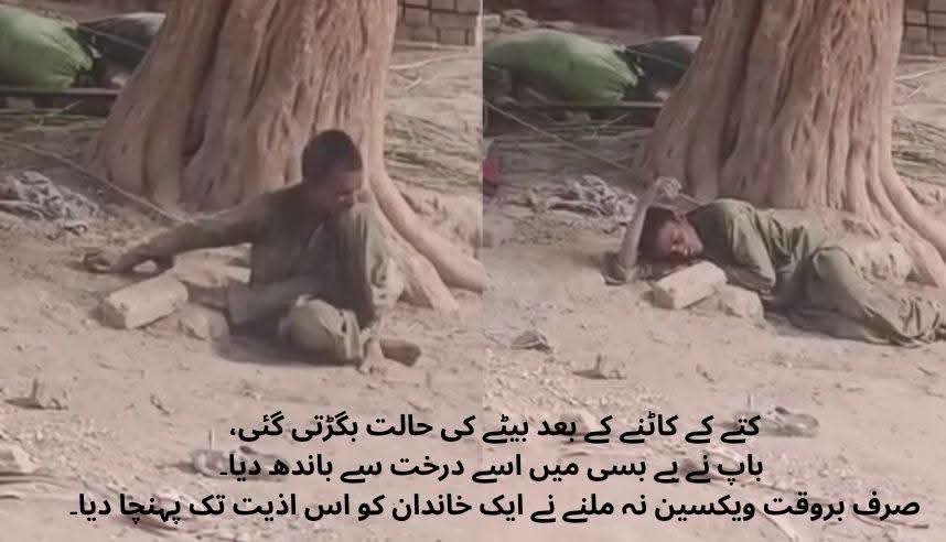 Letme_145's tweet photo. کتے کے کاٹنے کے بعد ویکسین نہ ملی،
خیرپور میں افسوسناک واقعہ، کتے کے کاٹنے کے تقریباً 10 روز بعد بھی بروقت انسدادِ ریبیز ویکسین نہ ملنے کے باعث نوجوان کی حالت تشویشناک بتائی جا رہی ہے۔
سوال یہ ہے کہ سندھ کے سرکاری اسپتالوں میں جان بچانے والی ویکسین ہی دستیاب نہ ہو تو ذمہ دار کون؟ https://t.co/oCXh50BmBu