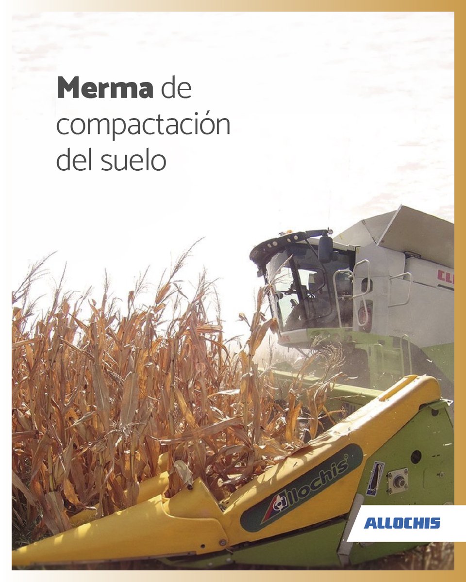 Allochis_Arg's tweet photo. 🌱🚜Nuestros equipos están desarrollados para optimizar la cosecha.

✅Reduce el tránsito sobre el lote
✅Disminuye la compactación del suelo
✅Optimiza el consumo de combustible
✅Favorecen las condiciones para una mejor implantación del próximo cultivo

#TecnologíaAgrícola https://t.co/ELRfZ767xZ