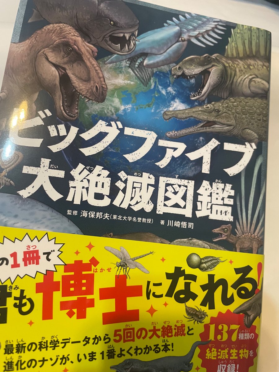 haruringo4's tweet photo. とても面白かった！
ハルキゲニアとサカバンバスピス（模型）が見れて熱かった！ https://t.co/fN715muahH