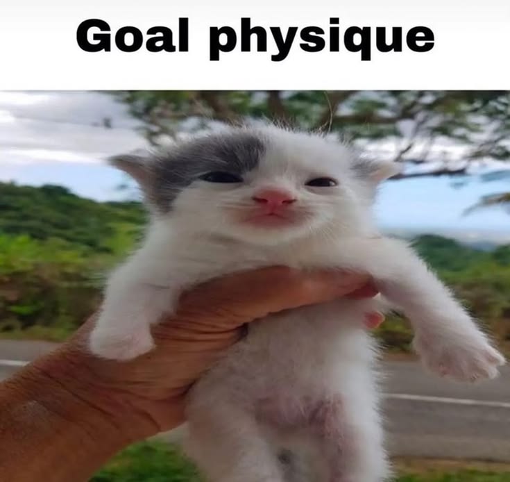 CatPosted's tweet photo. https://t.co/2g2PJRPnjr