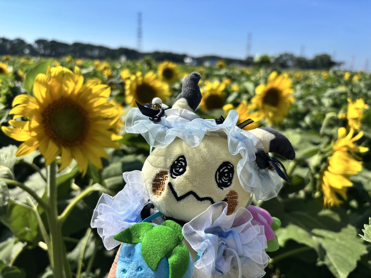 みみみ❁(mimimi) (@_mimi_m3) / Posts / X