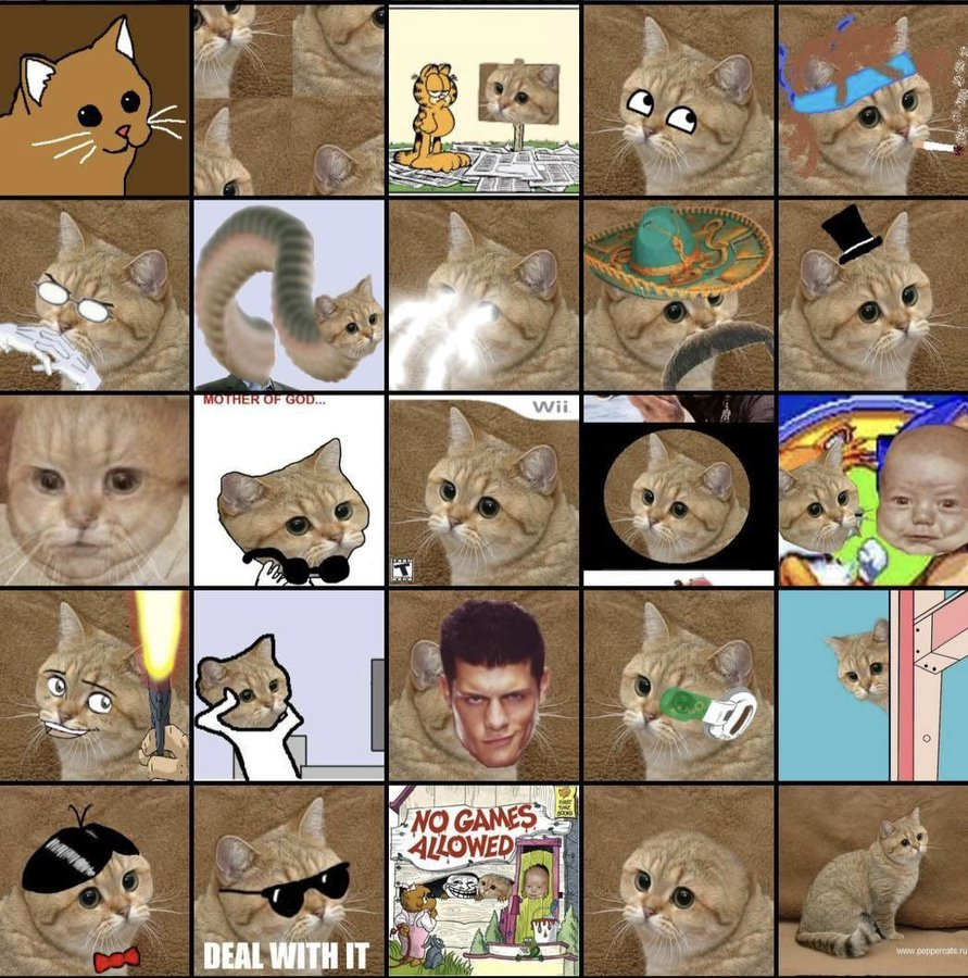 HeliaOnSolana's tweet photo. Choose your fighter.

Don't worry, they all stare...

solana:2tnppbXS6UcQZknrkjH7yvB3jQVkGPcrVNZCQwGL2JMD https://t.co/QXCVO9v5EZ