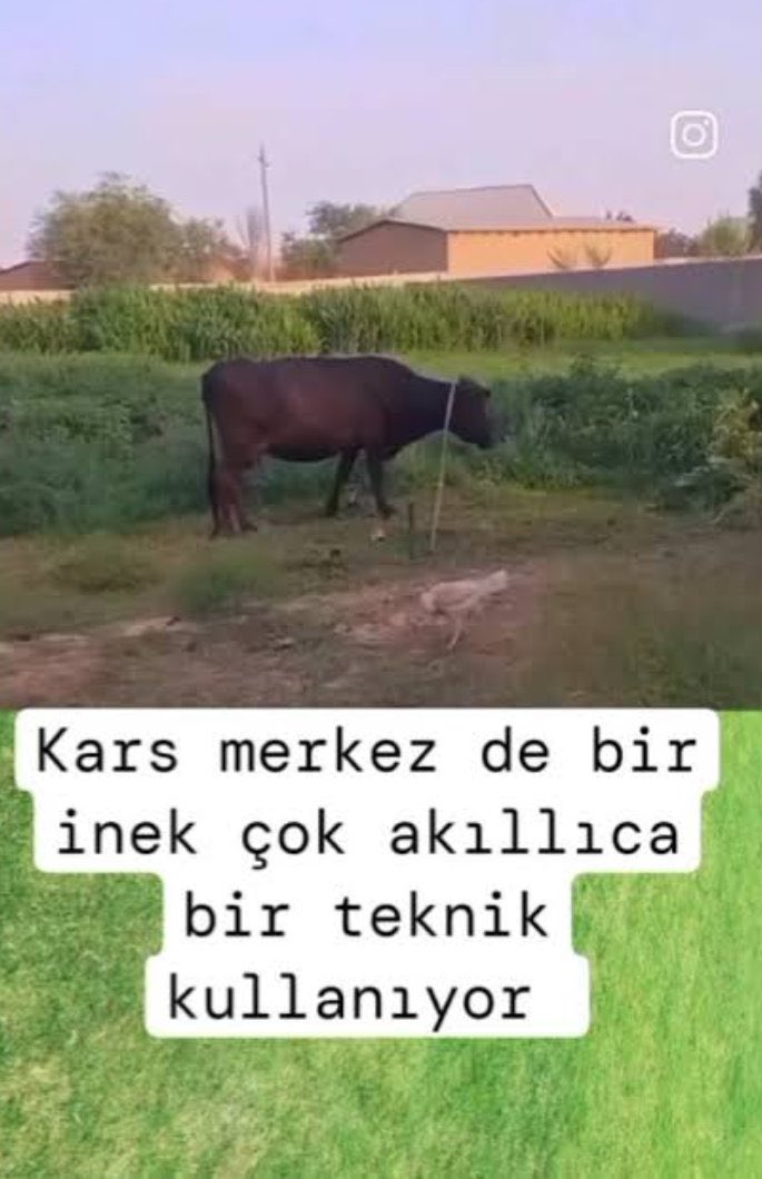 Yunuzep's tweet photo. @NorvecUlkucusu @avciifirat https://t.co/HDj9yL3I6t