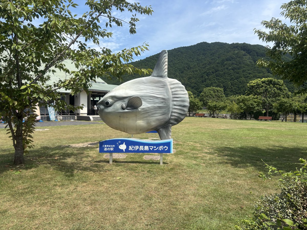 hiroj123's tweet photo. @MLavca この子に会いに行くとか😊 https://t.co/aL1GPwVHlO