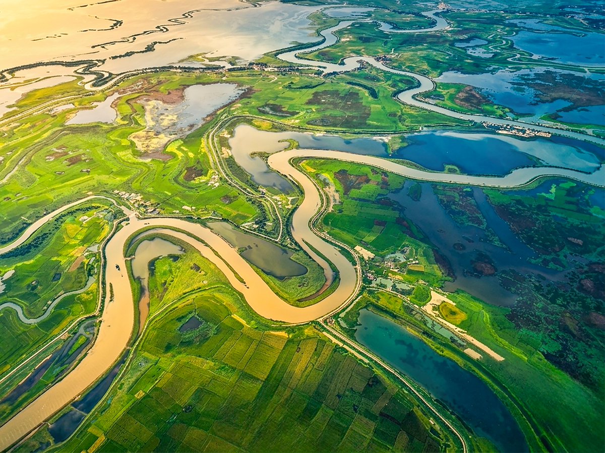 TalukdarSukanta's tweet photo. Tanguar Haor,Sunamganj.
#dji #hipa https://t.co/ThdLMqJIKu