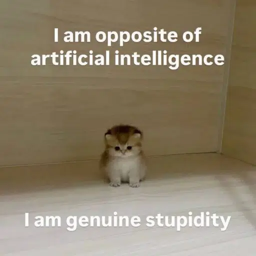 K1rajj's tweet photo. FIRST WAS GENUINE STUPIDITY

THIS IS GENUINE EVIL https://t.co/VwKo0Ldhsa