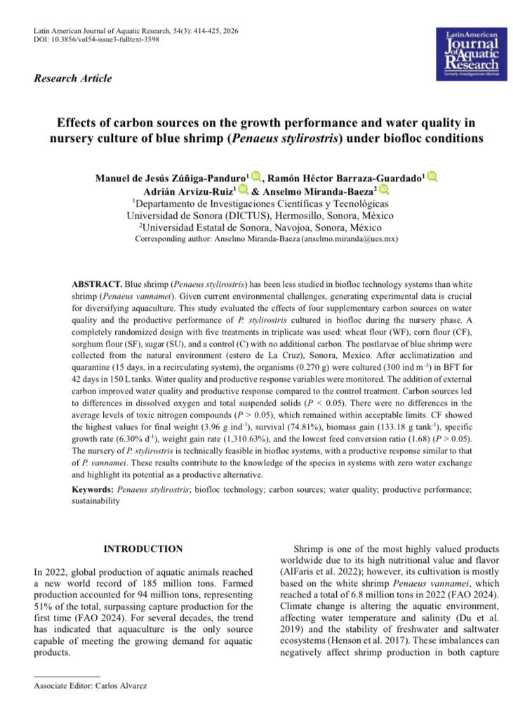 RevistaLajar's tweet photo. ▫️This study evaluated the effects of four supplementary #carbonsources on water quality and the productive performance of P. stylirostris cultured in #biofloc during the nursery phase.

https://t.co/i4eYZ82Fje

#Blueshrimp #ocean #sea https://t.co/7JTAdy5BeP