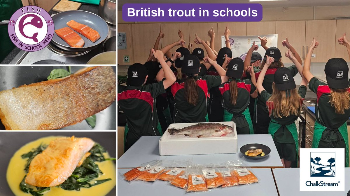 HeroesFish's tweet photo. And in 2025/26, we worked with @british_trout & https://t.co/oDCrHd9PxN!
We had a great session with Y10s in Gloucestershire learning about:
🐟trout farming
❤️the benefits of oily fish
🔪food skills.
It's the start of a great partnership between school and #FishHeroes!
https://t.co/RCWYhr8MEK