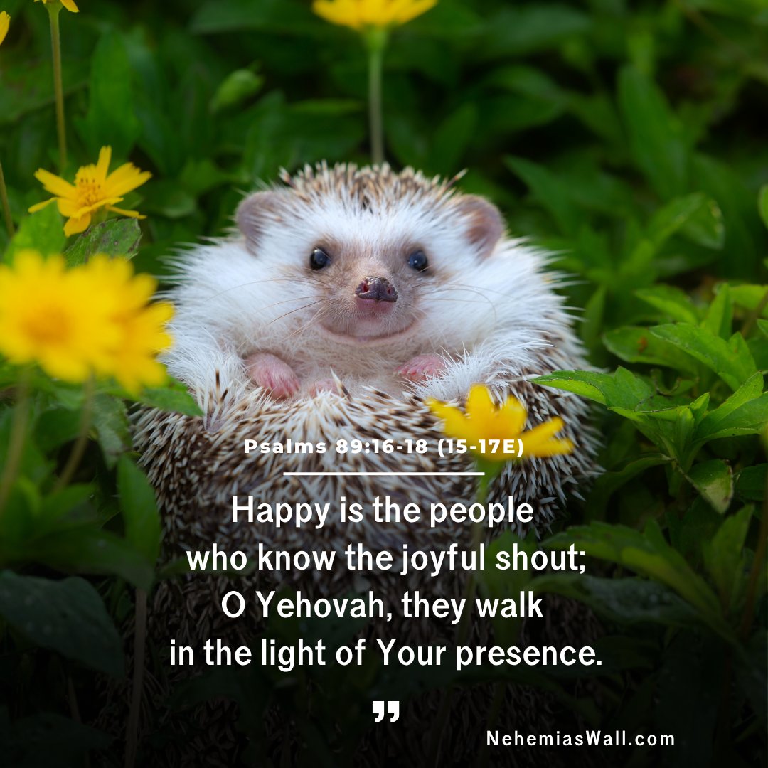 ngordon4's tweet photo. Psalms 89:16-18 (15-17E)
Happy is the people who know the joyful shout;
O Yehovah, they walk in the light of Your presence.
They rejoice in Your name all day long;
they are exalted through Your righteousness.
For You are their strength in which they glory;
our horn is exalted through Your favor.
