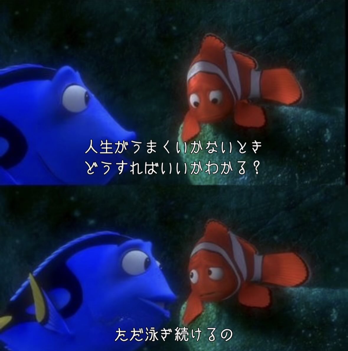 karisyaku3day's tweet photo. 何も考えず、進むだけ。 https://t.co/cXTbsYRItN