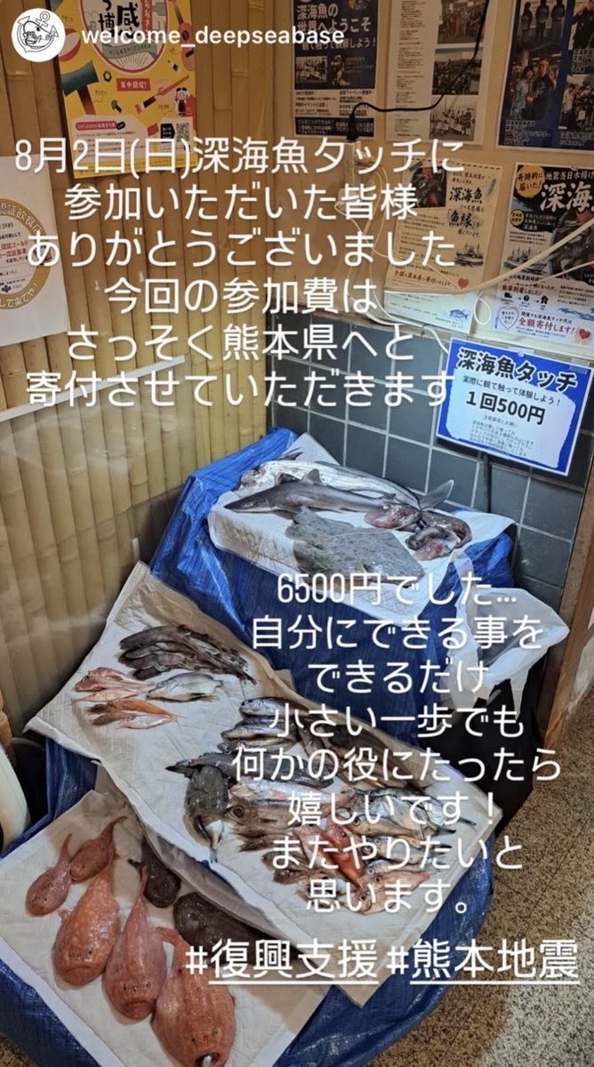 samemi_mhs's tweet photo. 8月2日の「深海魚タッチ」にご参加いただいた皆さま、ありがとうございました🦈

深海魚の展示や解説、物販コーナーを通して多くの方に楽しんでいただきました😊

深海魚発信基地リーダーの想いから、今回の参加費は熊本県へ寄付させていただきました。

またお会いできる日を楽しみにしています✨ https://t.co/0NspEFaj7s