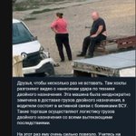 Photo by жаба з Південного бугу (@stuffy_toad)