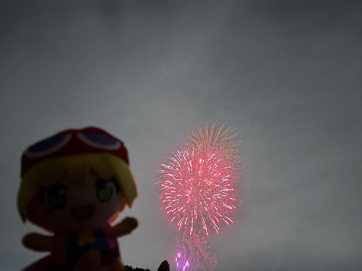 mi_i_su's tweet photo. アミティと花火見てきた https://t.co/7AxgBY0Z8p