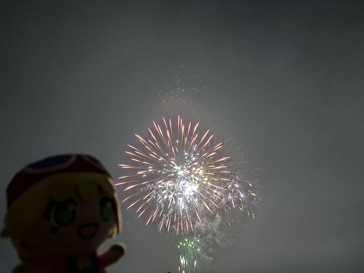 mi_i_su's tweet photo. アミティと花火見てきた https://t.co/7AxgBY0Z8p