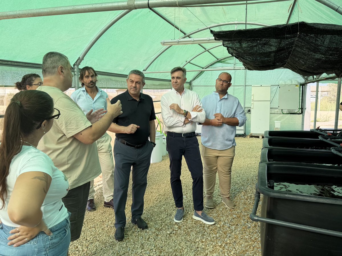RM_Agua's tweet photo. 🫧🌱 La Región de Murcia estudia biofiltros para recuperar nitrógeno y fósforo de la acuicultura y reducir su impacto ambiental

https://t.co/cwjAZHRAYK https://t.co/YUWBaBvCfp