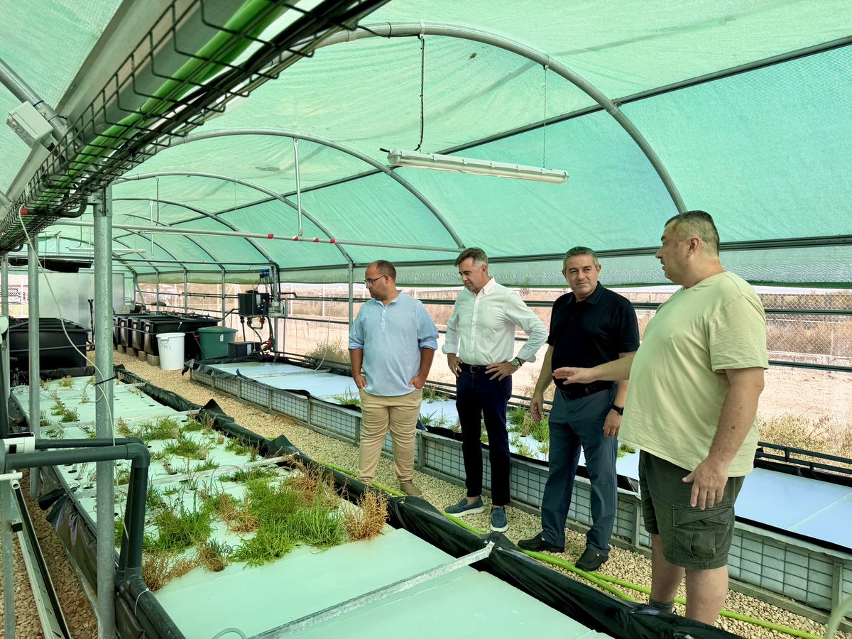 RM_Agua's tweet photo. 🫧🌱 La Región de Murcia estudia biofiltros para recuperar nitrógeno y fósforo de la acuicultura y reducir su impacto ambiental

https://t.co/cwjAZHRAYK https://t.co/YUWBaBvCfp