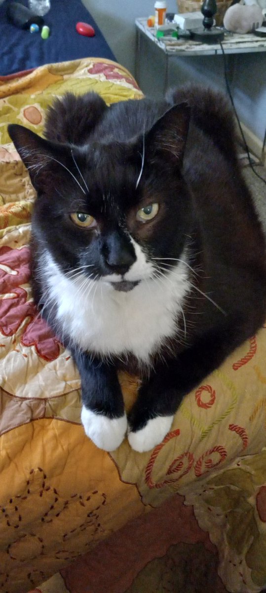 val__txt's tweet photo. This is  Frank. Please say you're farewell to Frank. https://t.co/6uE1kGOZ2v