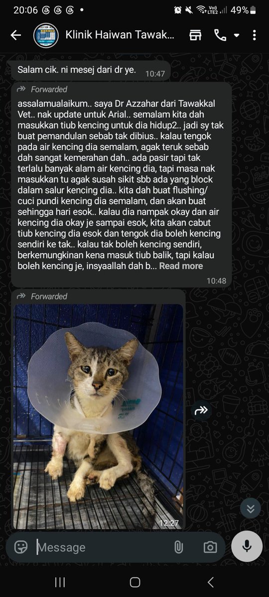 hnnbhelll's tweet photo. hi semua. kucing dah discaj semalam dari vet sebab saluran kencing tersumbat. dua hari dr buat flushing.

jadi boleh ke saya nak mohon sumbangan untuk bayaran vet Arial? terima kasih semua 🙏

total diperlukan : RM 232.50 https://t.co/y19yDsmeh2