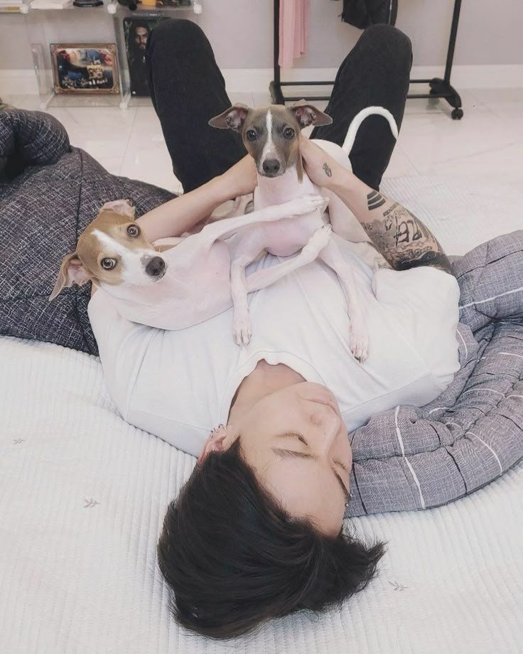 mniynkk's tweet photo. more of how jungkook and tom holland are best friends in my head; a thread https://t.co/t7hOpyrsFz