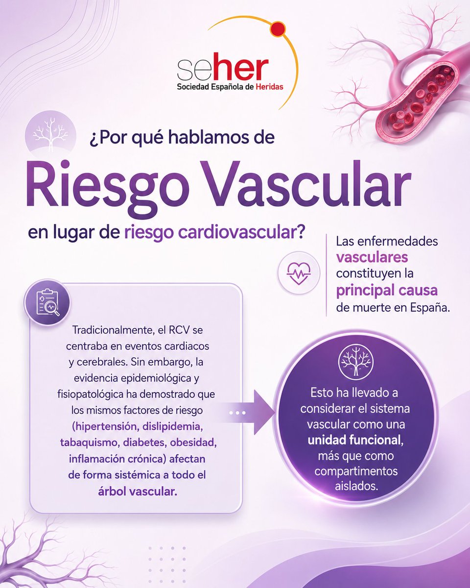 SEHERidas's tweet photo. 🩺 ¿Por qué hablamos de riesgo vascular y no solo cardiovascular?⚠️
Este cambio se basa en tres pilares: 🧬 biología de la enfermedad, 🔬 evidencia científica y 🛡️ prevención moderna.
✅Factores como la #hipertensión, la #dislipemia, la #diabetes, el #tabaquismo, la #obesidad o la #inflamacióncrónica no afectan únicamente al corazón o al cerebro: dañan de forma sistémica todo el árbol vascular. ❤️🧠🩸
🗣️Por eso, hablar de riesgo vascular permite una visión más integral y preventiva de la enfermedad. 💜