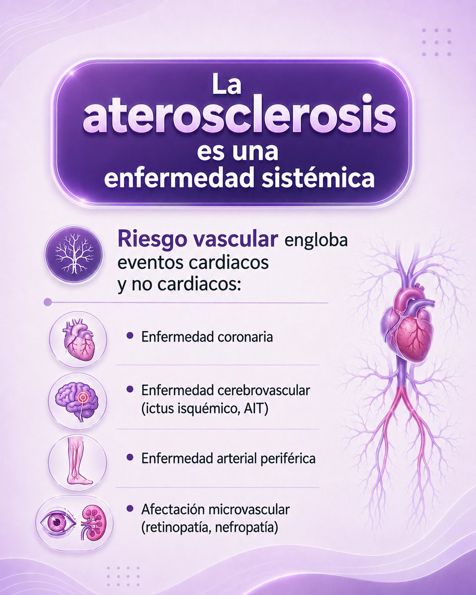 SEHERidas's tweet photo. 🩺 ¿Por qué hablamos de riesgo vascular y no solo cardiovascular?⚠️
Este cambio se basa en tres pilares: 🧬 biología de la enfermedad, 🔬 evidencia científica y 🛡️ prevención moderna.
✅Factores como la #hipertensión, la #dislipemia, la #diabetes, el #tabaquismo, la #obesidad o la #inflamacióncrónica no afectan únicamente al corazón o al cerebro: dañan de forma sistémica todo el árbol vascular. ❤️🧠🩸
🗣️Por eso, hablar de riesgo vascular permite una visión más integral y preventiva de la enfermedad. 💜