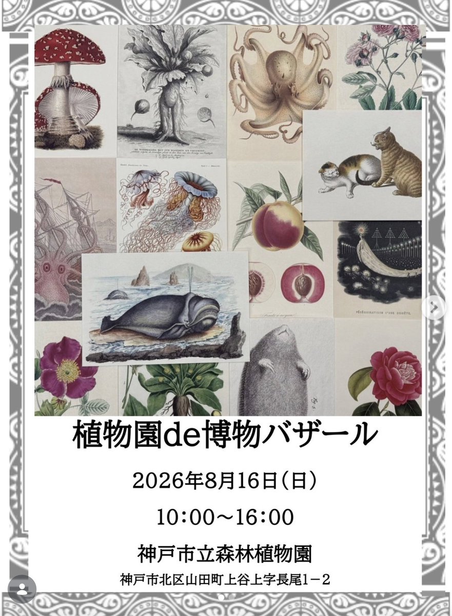 equimonia's tweet photo. 【イベントのお知らせ🎊】
『植物園de博物バザール』
8/16（日）10:00〜16:00
神戸市立森林植物園にて

いきもにあ公式グッズをお買い上げの方に、ビニールバッグをプレゼント🎁
重ねおしスタンプラリーもあるよ！ https://t.co/fg1yiD1ACi