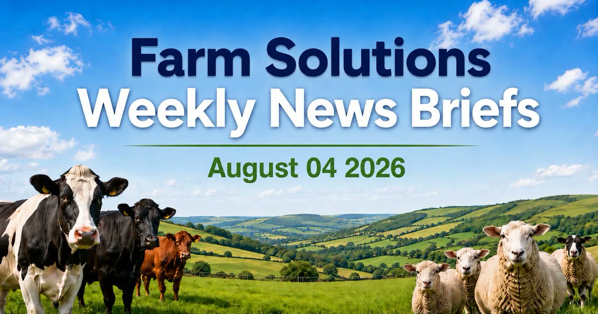 FarmSolutions1's tweet photo. Bluetongue cases have risen sharply to 84 since 1 July, affecting cattle and sheep.
Our latest brief covers symptoms, vaccination records and the vaccination message from the NFU.
https://t.co/fFHJ04AVaC
#Bluetongue #LivestockFarming #FarmSoftware #Cattle #Sheep #UKFarming https://t.co/lxMWcPvt3q