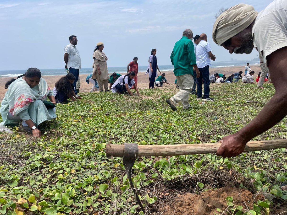 APFDOfficial's tweet photo. A Strong Step Towards a Greener Coastline !! 

Guided by the vision of Hon'ble Deputy Chief Minister & Minister for Forest, Environment, Science & Technology Shri @PawanKalyan Garu to build a climate-resilient and greener Andhra Pradesh through the Great Green Wall (GGW) Initiative, the Andhra Pradesh Forest Department today commenced large-scale Palmyrah seed dibbling at Sagar Nagar Beach, Visakhapatnam.

Today's drive witnessed enthusiastic participation from 20 students of Gayathri College, 25 volunteers from the Green Climate Team, along with members of Rotary Club and ActionAid. Through this collective effort, a total of 2,500 Palmyrah seeds were dibbled, marking a significant beginning to the district's large-scale coastal greening initiative under the Great Green Wall Project.

This marks the beginning of a sustained coastal greening drive, with similar programmes to continue across the district in the coming days. The Department has set a target of dibbling 1 lakh Palmyrah seeds in Visakhapatnam district, strengthening coastal ecosystems, enhancing biodiversity, and building natural resilience against climate change through people's participation.

Together, we are transforming the vision of the Great Green Wall of Andhra Pradesh into a people's movement for a greener, healthier and more sustainable future.

@APDeputyCMO @PIB_India 
@pibvijayawada

#APForestDepartment #GreatGreenWall #GGW #PawanKalyan #Palmyrah #Visakhapatnam #CoastalConservation