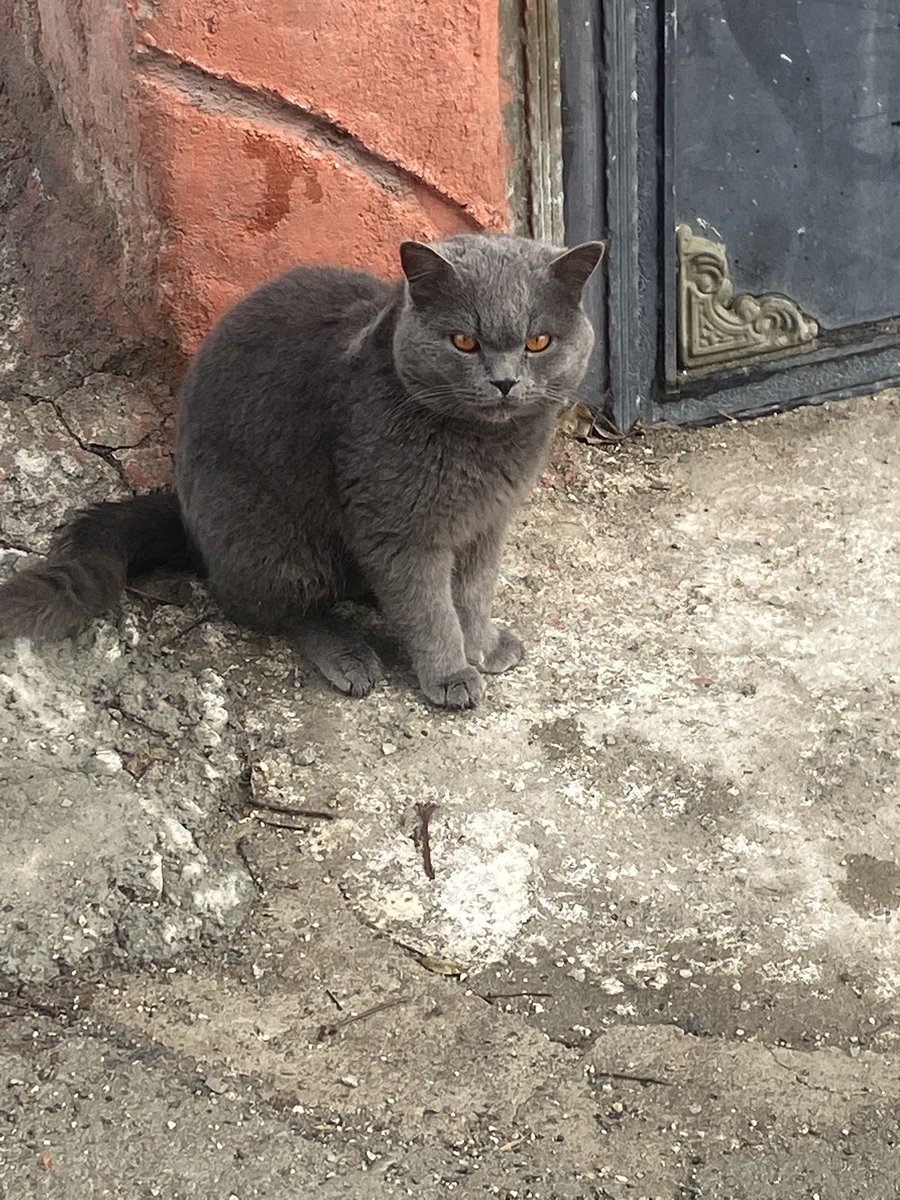 Merve21m's tweet photo. Ayağını denk al diyor galiba😅🤦‍♀️ https://t.co/YRpju58Zta