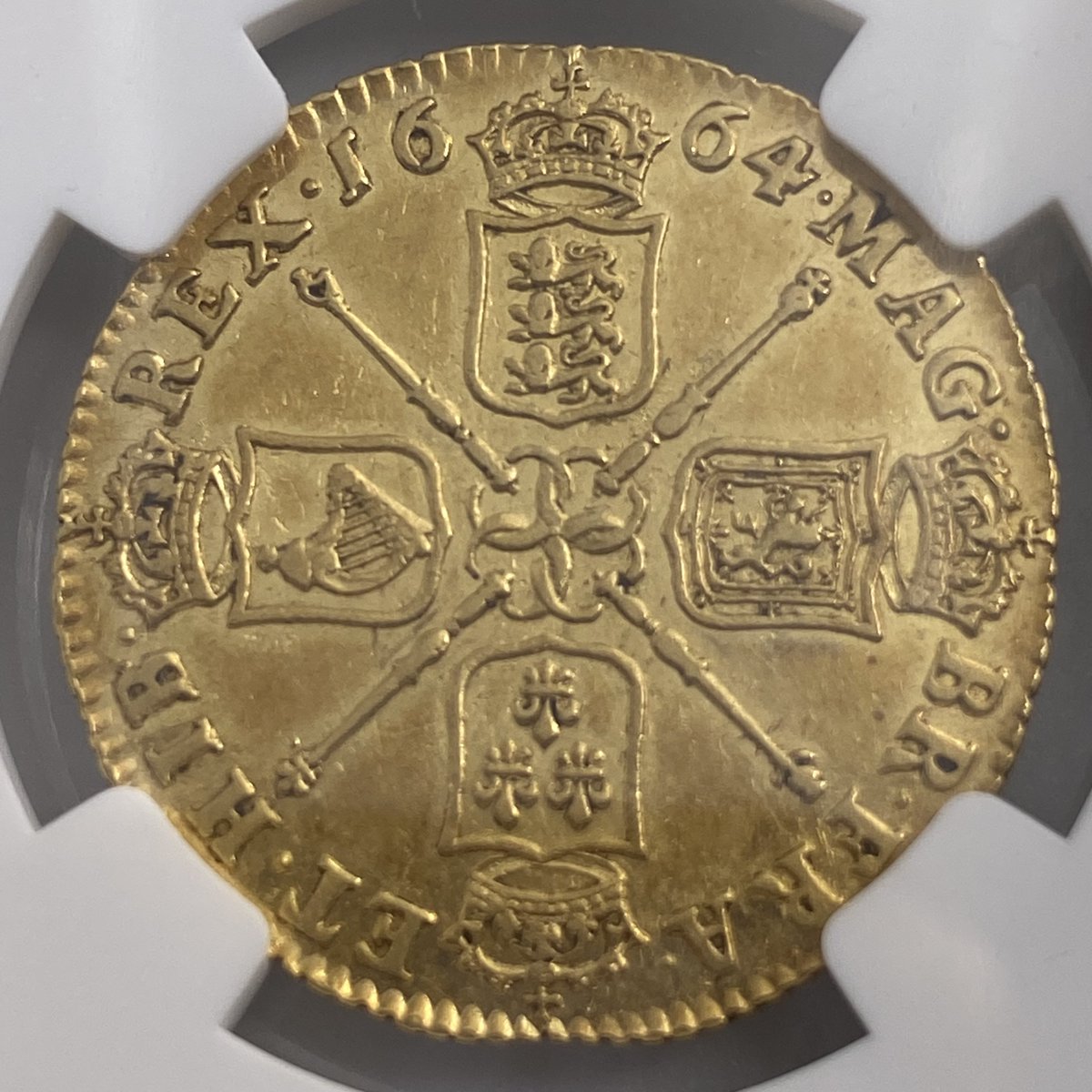 ringramcoins's tweet photo. We stock a remarkable range of coins. See THE list:
https://t.co/j9FuXUY5L3 #noonestocks #therange #ofcoins #wedo #truly https://t.co/CgbCU0akfy