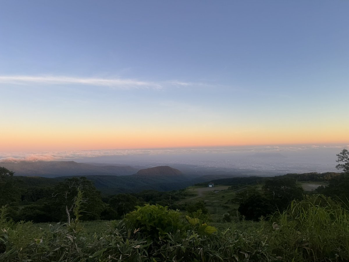 Ai_R_agi's tweet photo. とち狂って日暮れ前に
ソロで近所の山の
てっぺんまでクワガタ探しに

雲より高い場所だった
上着が必要な程の気温だった
鹿の大群に遭遇した
私の周りをミミズクが飛び続けるという
謎の現象も起きた

日が暮れたあと
飛行機墜落して沢山の人が
亡くなってたのを思い出して
早足で帰路に着いた https://t.co/k0fcNcK22i