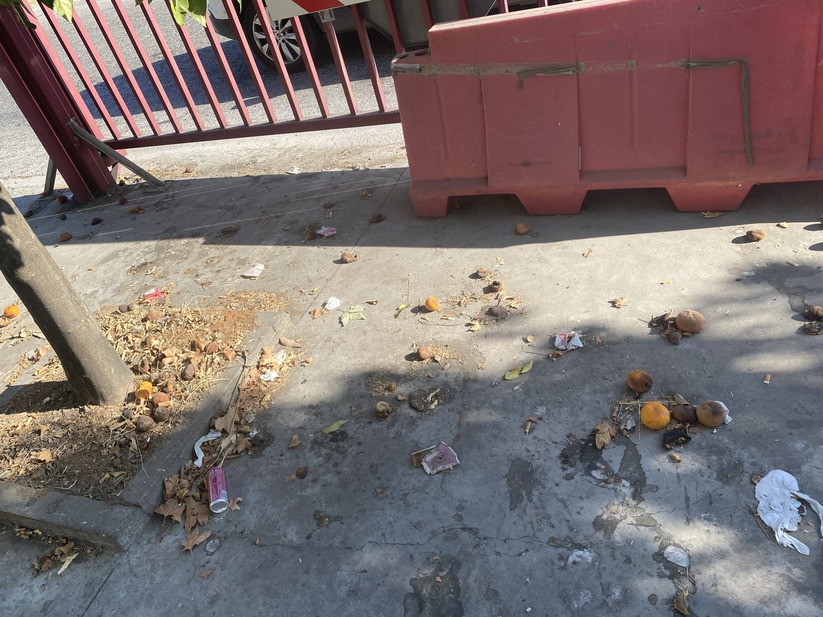 beatrizherhin's tweet photo. Así se encuentran las calles del Polígono de la Isla, de vergüenza. Dejadez absoluta, aparte del poco civismo de la gente que lo tira todo al suelo. 

@aytodoshermanas https://t.co/bEZZfi8tUp
