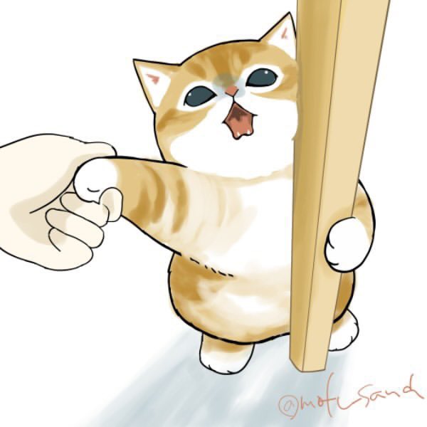 mofu_sand's tweet photo. お風呂の時間だよ！💩 https://t.co/Kz3ktmMCXy