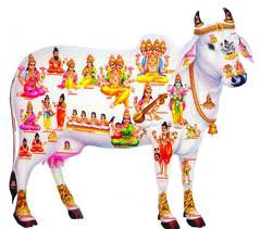 BinniSanat45060's tweet photo. गौ माता को राष्ट्र माता का दर्जा सम्मान प्राप्त दिया जाए
गौ हत्या उत्तर से दक्षिण पूर्व से पश्चिम पर पूर्णतः प्रतिबंध हो🙏🙏
#गौमाता_राष्ट्रमाता https://t.co/kqnKDZLoG0