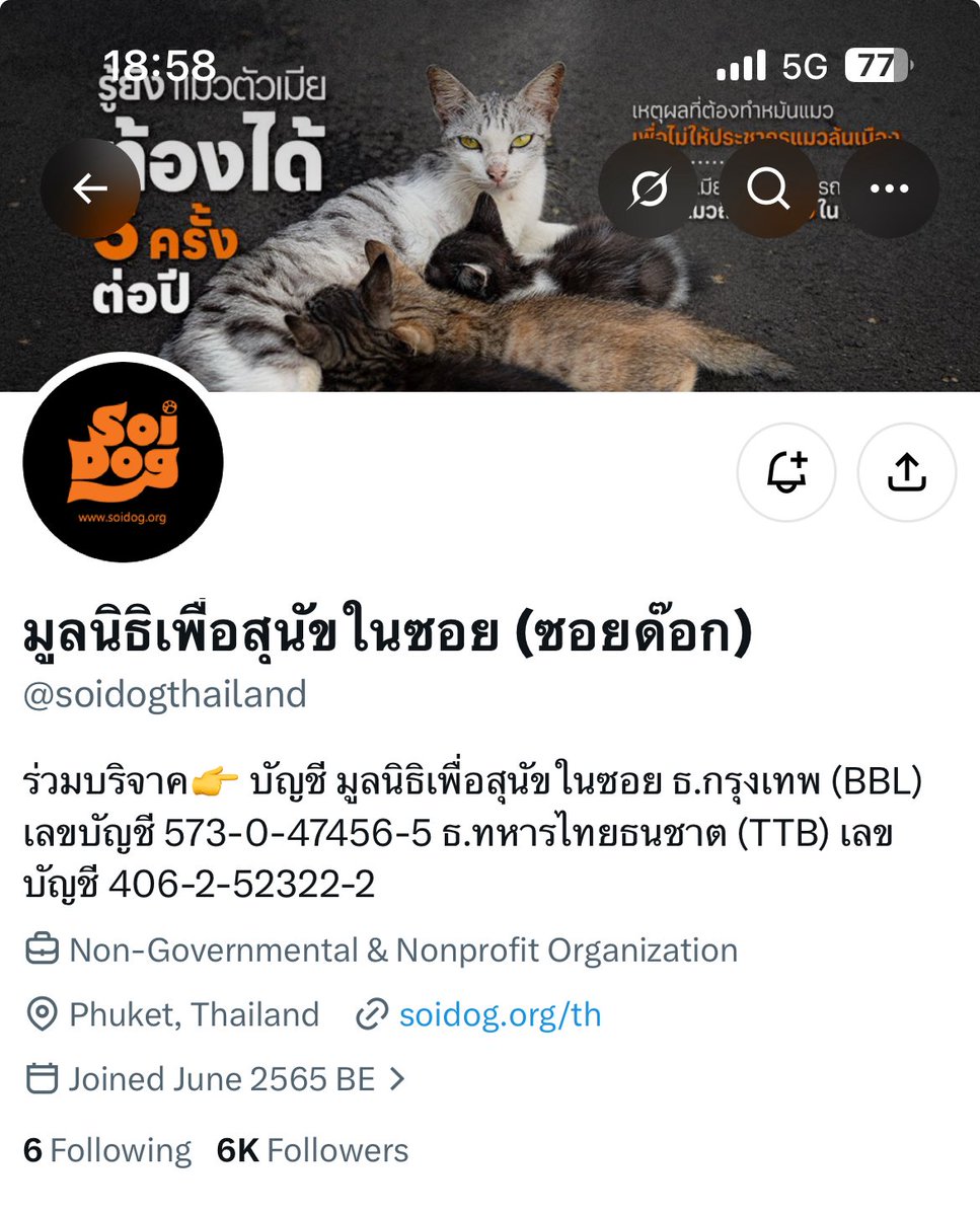 mymelody_kh's tweet photo. ใครอยากทำบุญแล้วแต่ยังลังเลเราก็ยังยืนยันว่าทำกับหมากับแมวดีมากๆเหมือนกันต่อชีวิตน้องๆ มีหลายเคสที่ขึ้นผ่านฟีดใจเจ็บมากก  ลองเลื่อนดูๆก็ได้ชั้นคนนึงก็ไม่ได้ทำเยอะแต่พยายามทำทุกวัน ขอแบ่งปันบุญๆๆ @soidogthailand https://t.co/2ybmJR6fm2