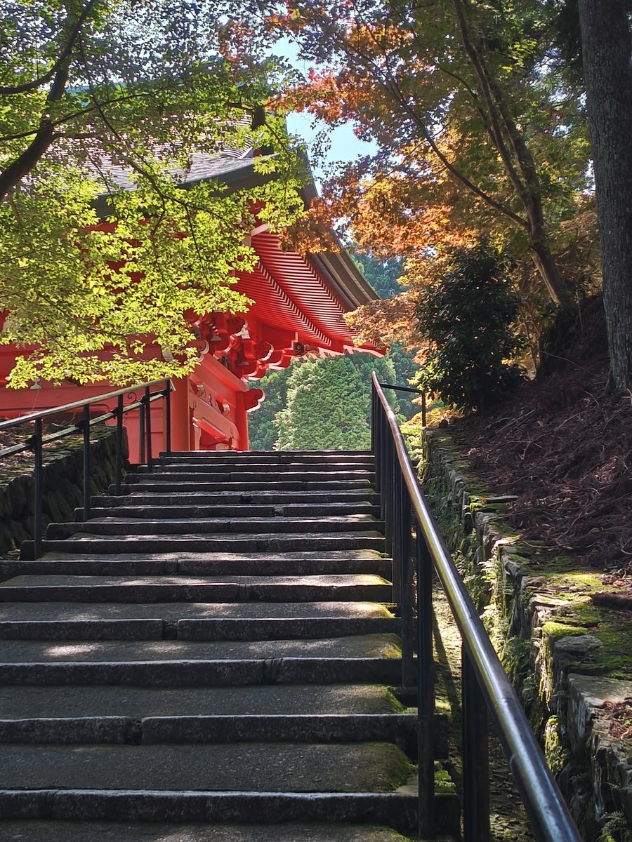 elledesbbwest's tweet photo. 比叡山は涼しかった
階段は辛かった
地蔵菩薩が優しかった https://t.co/cII02quSlL