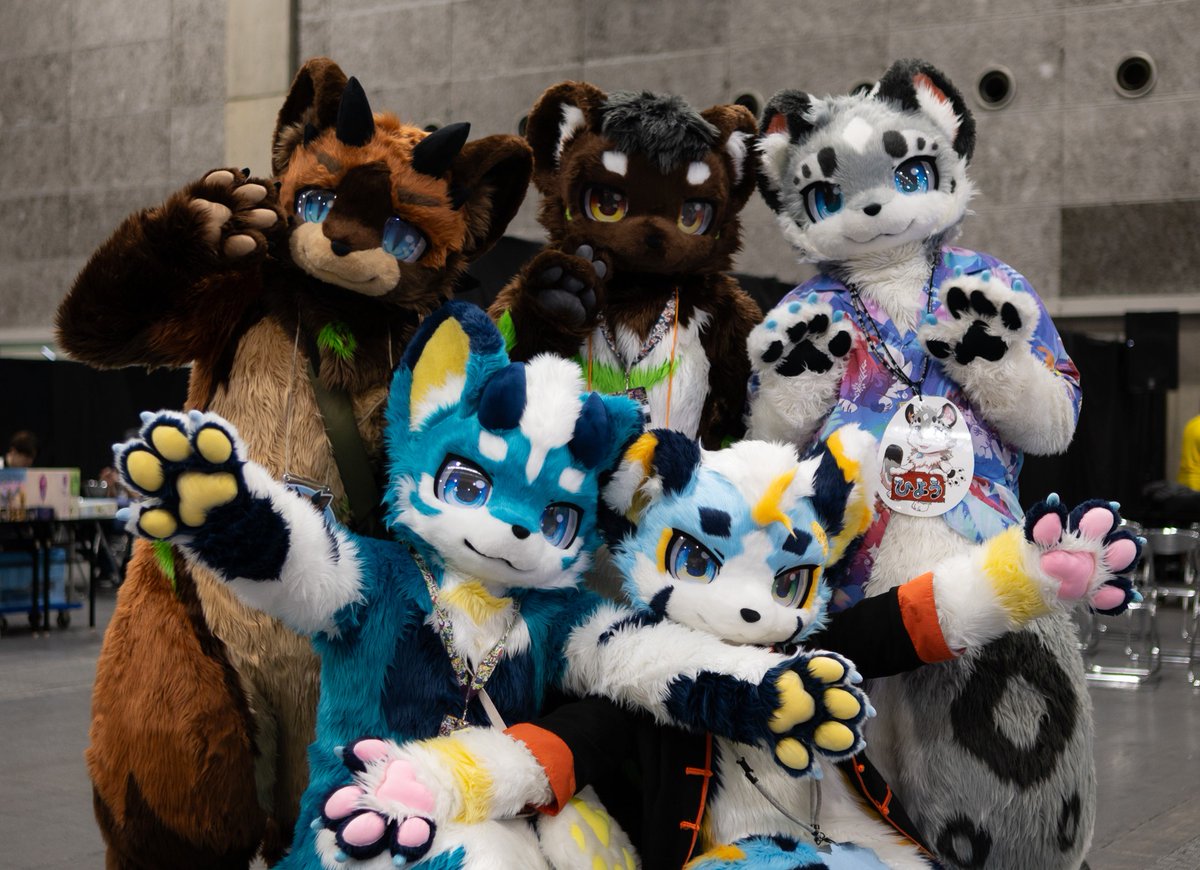 koji2082235's tweet photo. スターファイアーズ🐾
みんな最高に可愛かった🥰

#OFFF2026 https://t.co/nibynemVzb