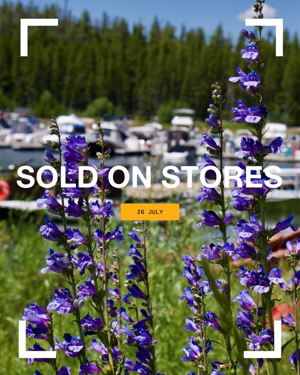 Picfair tweet picture