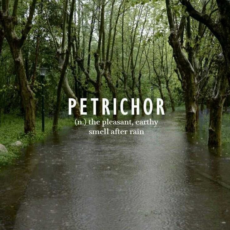 afrkml's tweet photo. Akhirnya bisa menghirup aroma petrichor lagiiii https://t.co/zRCovgItEk
