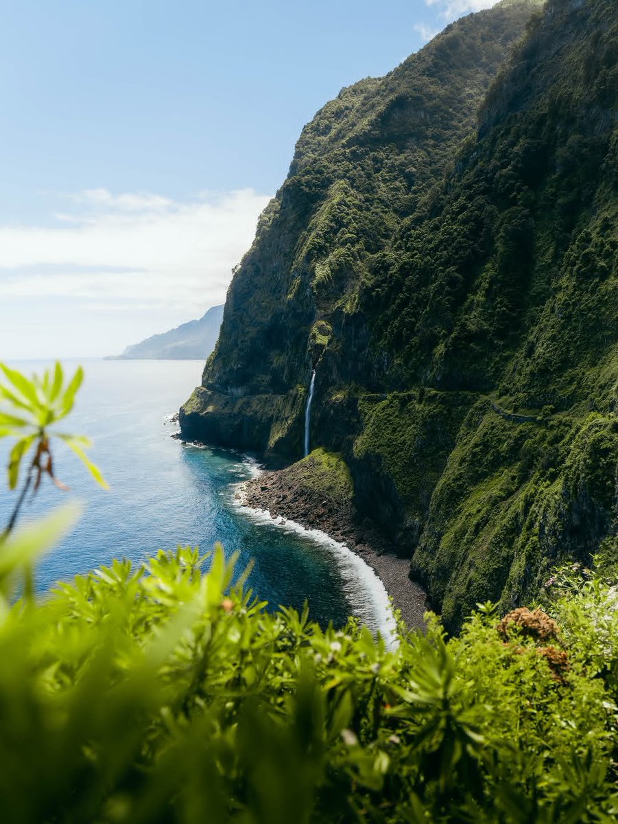 worldclick56's tweet photo. Madeira, Portugal 🍃✨ https://t.co/YOaxEh9VVK