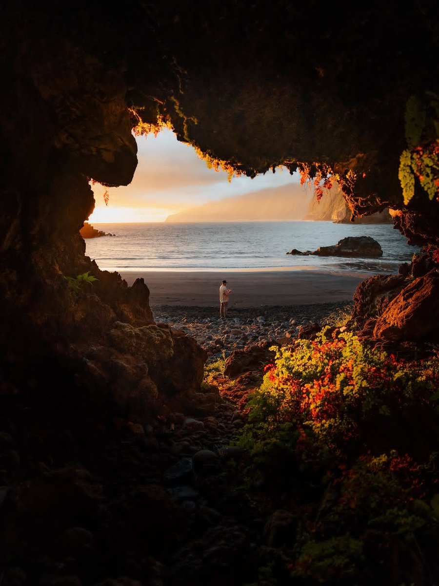 worldclick56's tweet photo. Madeira, Portugal 🍃✨ https://t.co/YOaxEh9VVK