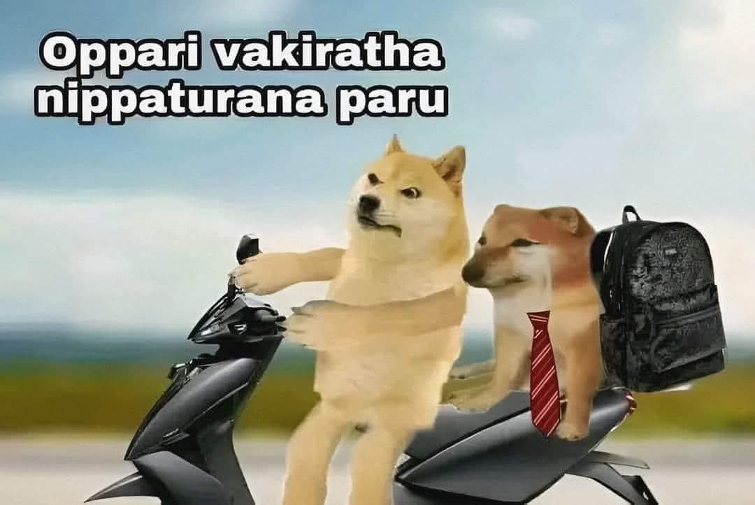__MrGhost's tweet photo. @Senthiley @TVKVijayHQ https://t.co/nuNVCylyLi