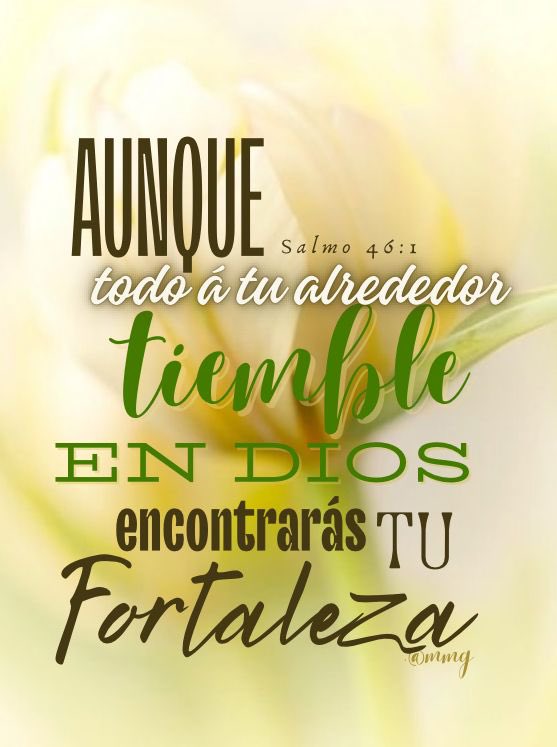 Milo_Zapata's tweet photo. Que nuestra confianza descanse en Dios, feliz día @yiyilela @BeltrangGil @elvia_cuauro @DiosCatire8 @magdaz54 https://t.co/iUhpCsi74H