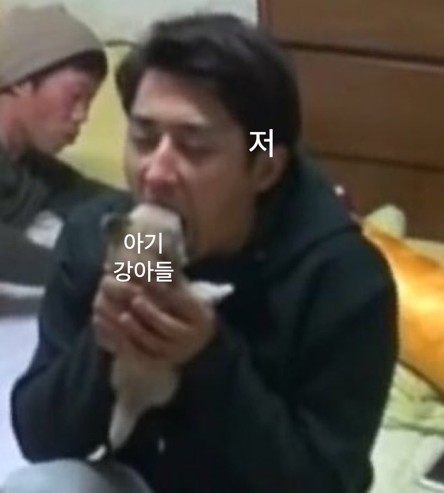 Dolly_9_7's tweet photo. 와 진짜 어떡해..........
진짜 어떧해 잠시만..... 으아아....
이건 진짜 진짜.. 깨돌이님 아기강아들 좀 입에 집어넣어도 될까요 https://t.co/UeY8Ln9Ybh