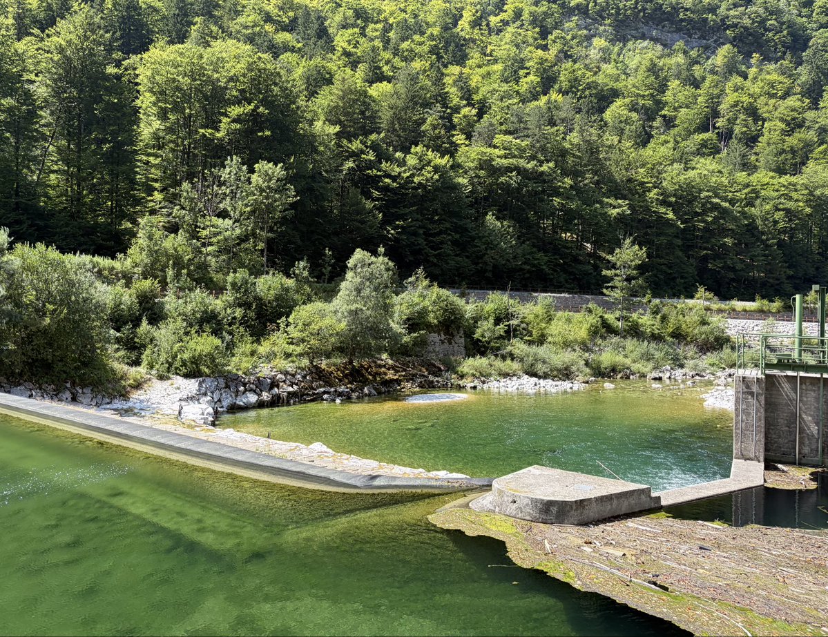 jashazed's tweet photo. slovenia is so cool https://t.co/k0gGLlB48w