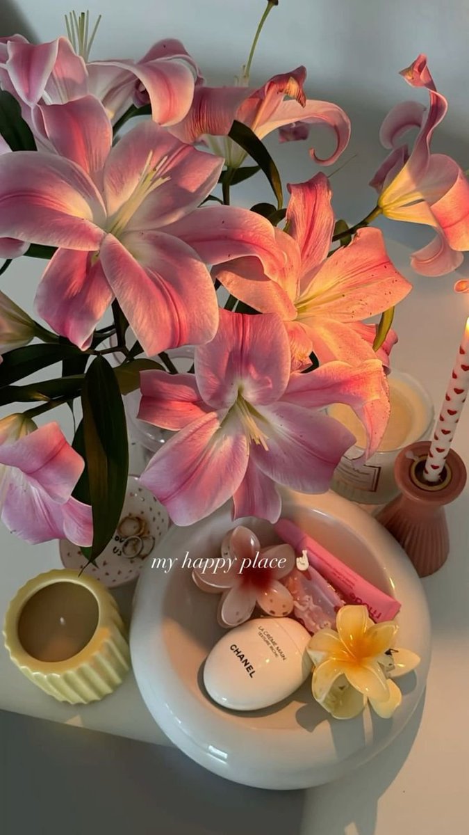 Liliestulipssss's tweet photo. https://t.co/oeeXsThsum